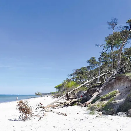 Modernes Ferienapartment Ostseemoewe Mit Westbalkon Apartamento
